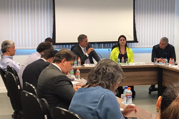 ADEMI-DF DISCUTE APLICAÇÃO DA LEI DE LIBERDADE ECONÔMICA