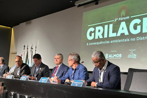 No DF, combate à grilagem exige medidas novas e mais efetivas