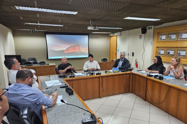 ADEMI DF reúne-se com presidente da CLDF