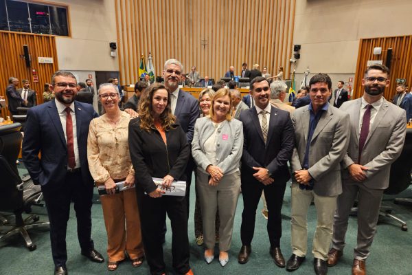 ADEMI-DF comemora aprovação do PDOT pelo plenário da CLDF