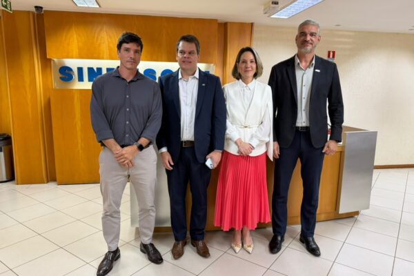ADEMI DF e Sinduscon-DF discutem com nova diretoria da Neoenergia desafios do setor da construção